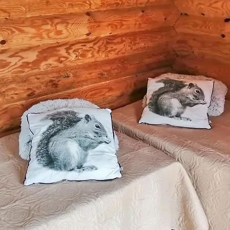 Ruokovirran Moekki By Interhome Siilinjärvi